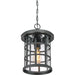 Quoizel CSE1910EK Crusade One Light Outdoor Hanging Lantern, Earth Black Alternate Image 4.jpg