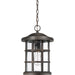 Quoizel CSE1910PN Crusade One Light Outdoor Hanging Lantern, Palladian Bronze Alternate Image.jpg