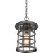 Quoizel CSE1910PN Crusade One Light Outdoor Hanging Lantern, Palladian Bronze Alternate Image 2.jpg