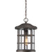 Quoizel CSE1910PN Crusade One Light Outdoor Hanging Lantern, Palladian Bronze Alternate Image 3.jpg