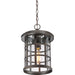 Quoizel CSE1910PN Crusade One Light Outdoor Hanging Lantern, Palladian Bronze Alternate Image 4.jpg