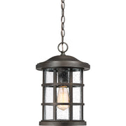 Quoizel CSE1910PN Crusade One Light Outdoor Hanging Lantern, Palladian Bronze Main Image.jpg