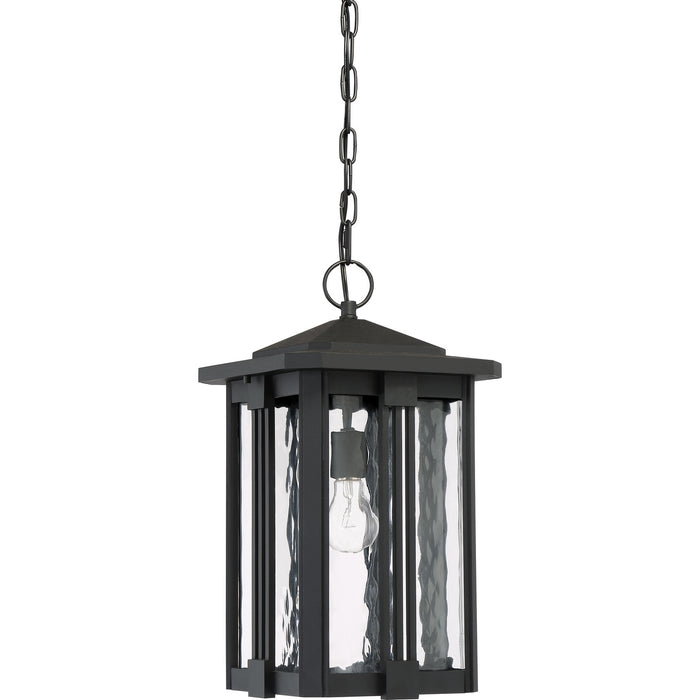 Quoizel EVG1911EK Everglade One Light Outdoor Hanging Lantern, Earth Black Alternate Image.jpg