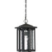 Quoizel EVG1911EK Everglade One Light Outdoor Hanging Lantern, Earth Black Alternate Image.jpg