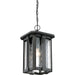 Quoizel EVG1911EK Everglade One Light Outdoor Hanging Lantern, Earth Black Alternate Image 2.jpg