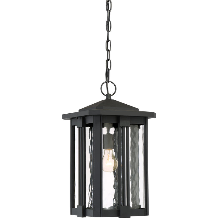 Quoizel EVG1911EK Everglade One Light Outdoor Hanging Lantern, Earth Black Main Image.jpg