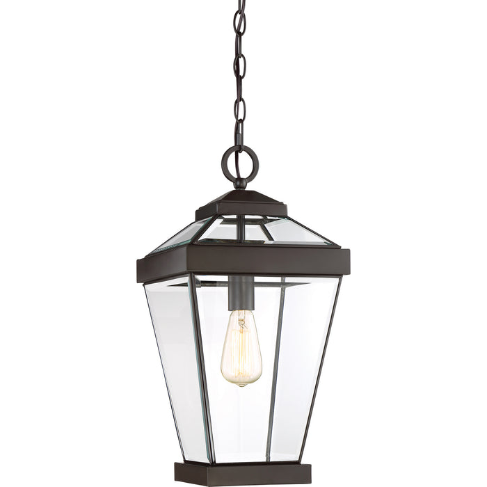 Quoizel RAV1910WT Ravine One Light Outdoor Hanging Lantern, Western Bronze Main Image.jpg