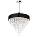 CWI Lighting 5523P22C (Black) Franca Eight Light Chandelier Black.jpg