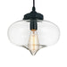 CWI Lighting 5570P11 - Clear Glass One Light Mini Pendant, Black Alternate Image.jpg