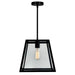 CWI Lighting 9601P12-1-101 Alyson One Light Mini Pendant Black Alt 3.jpg