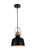 CWI Lighting 9845P9-101 Elisa One Light Pendant, Black Main Image.jpg