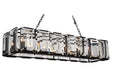 CWI Lighting 9860P55-14-101 Jacquet 14 Light Chandelier Black.jpg