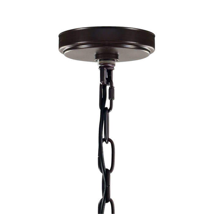 CWI Lighting 9913P10-1-205 Litani One Light Chandelier Brown Alt 4.jpg