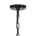 CWI Lighting 9913P10-1-205 Litani One Light Chandelier Brown Alt 4.jpg