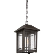 Quoizel CPT1910PN Cedar Point One Light Outdoor Hanging Lantern, Palladian Bronze Alternate Image 2.jpg