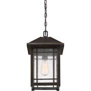 Quoizel CPT1910PN Cedar Point One Light Outdoor Hanging Lantern, Palladian Bronze Alternate Image 4.jpg