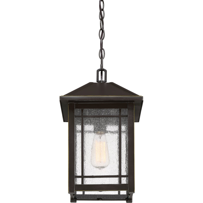 Quoizel CPT1910PN Cedar Point One Light Outdoor Hanging Lantern, Palladian Bronze Alternate Image 4.jpg