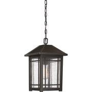 Quoizel CPT1910PN Cedar Point One Light Outdoor Hanging Lantern, Palladian Bronze Main Image.jpg