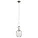 Kichler 43953OZ Riviera One Light Pendant, Olde Bronze Main Image.jpg