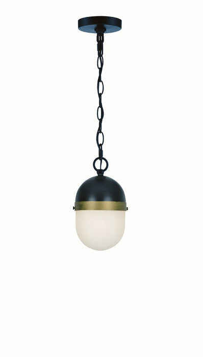 Crystorama CAP-8505-MK-TG Capsule One Light Outdoor Pendant Matte Black / Textured Gold Main Image.jpg