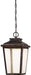 Minka-Lavery 72174-189-L Irvington Manor LED Outdoor Chain Hung, Chelesa Bronze Main Image.jpg