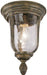 Minka-Lavery 8999-61A Ardmore One Light Outdoor Lantern, Vintage Rust Main Image.jpg