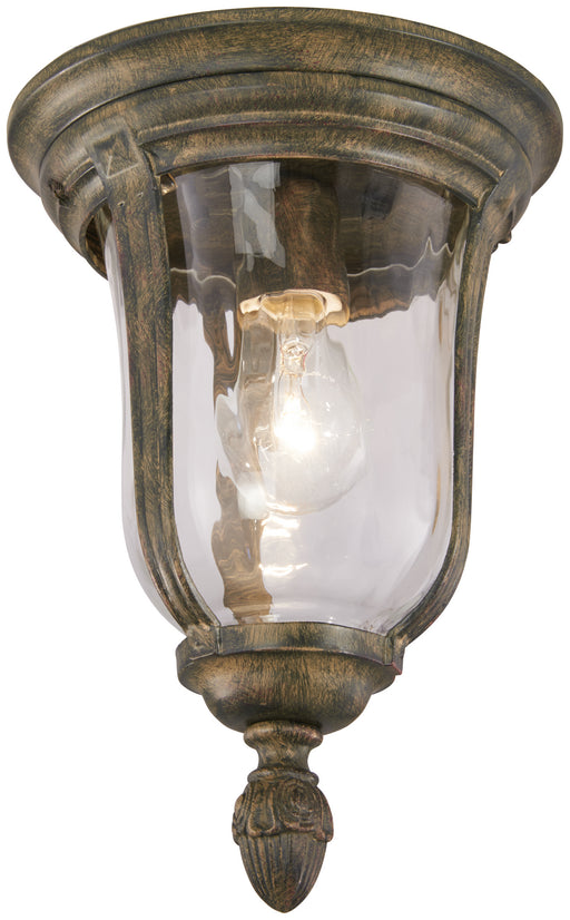 Minka-Lavery 8999-61A Ardmore One Light Outdoor Lantern, Vintage Rust Main Image.jpg