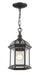 Z-Lite 563CHM-RT Annex One Light Outdoor Chain Mount Ceiling Fixture, Rust Main Image.jpg