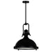 CWI Lighting 9602P16-1-101 Show One Light Pendant Black.jpg