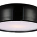 CWI Lighting 9688C14-2-171 Campton Two Light Flush Mount Black Alt 4.jpg