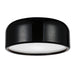 CWI Lighting 9688C14-2-171 Campton Two Light Flush Mount Black Alt 5.jpg