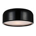 CWI Lighting 9688C14-2-171 Campton Two Light Flush Mount Black.jpg