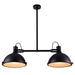 CWI Lighting 9760P37-2-101 Strum Two Light Island Chandelier Black Alt 1.jpg