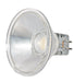 Satco S9552 Light Bulb, Clear Main Image.jpg
