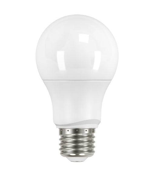 Satco S9591 Light Bulb, Frost Main Image.jpg