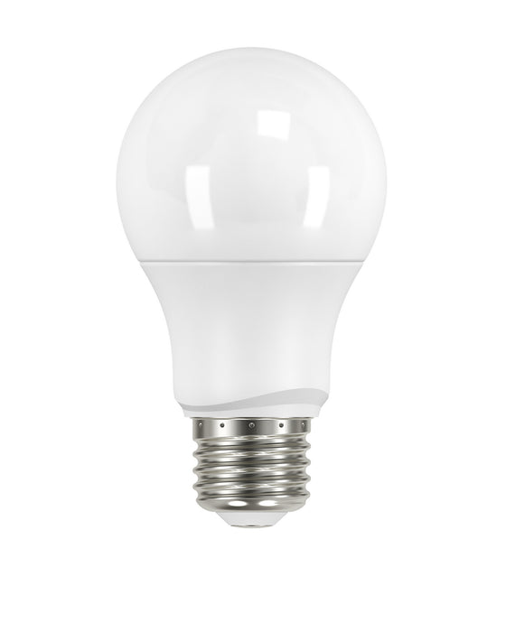 Satco S9591 Light Bulb, Frost Main Image.jpg