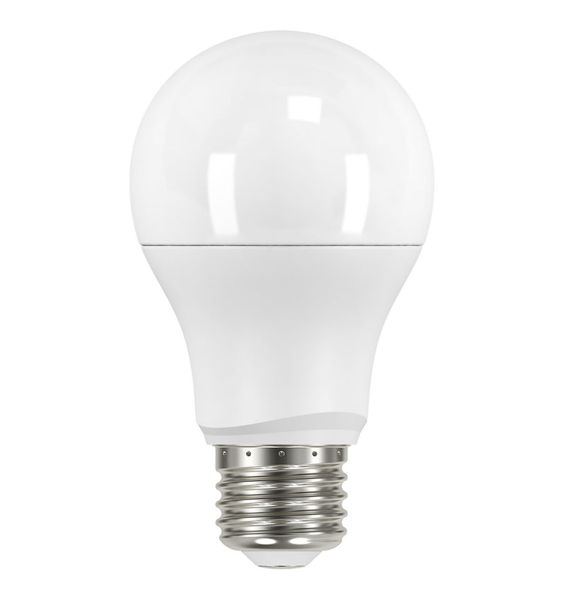 Satco S9594 Light Bulb, Frost Main Image.jpg
