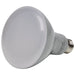 Satco S9620 Light Bulb, Frost Alternate Image.jpg