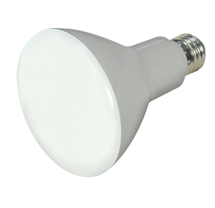 Satco S9620 Light Bulb, Frost Main Image.jpg