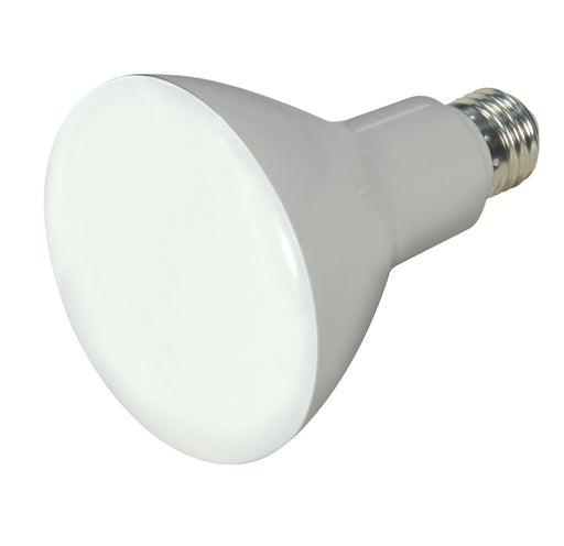 Satco S9621 Light Bulb, Frost Main Image.jpg