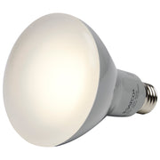 Satco S9622 Light Bulb, Frost Alternate Image 2.jpg
