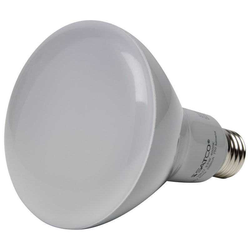 Satco S9623 Light Bulb, Frost Alternate Image.jpg