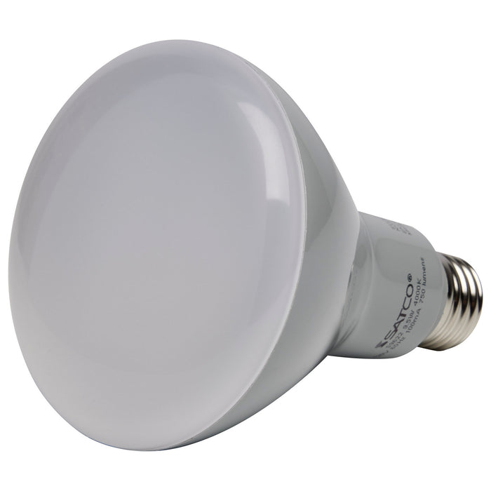 Satco S9623 Light Bulb, Frost Alternate Image.jpg