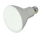 Satco S9623 Light Bulb, Frost Main Image.jpg