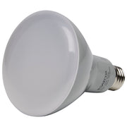 Satco S9624 Light Bulb, Frost Alternate Image.jpg