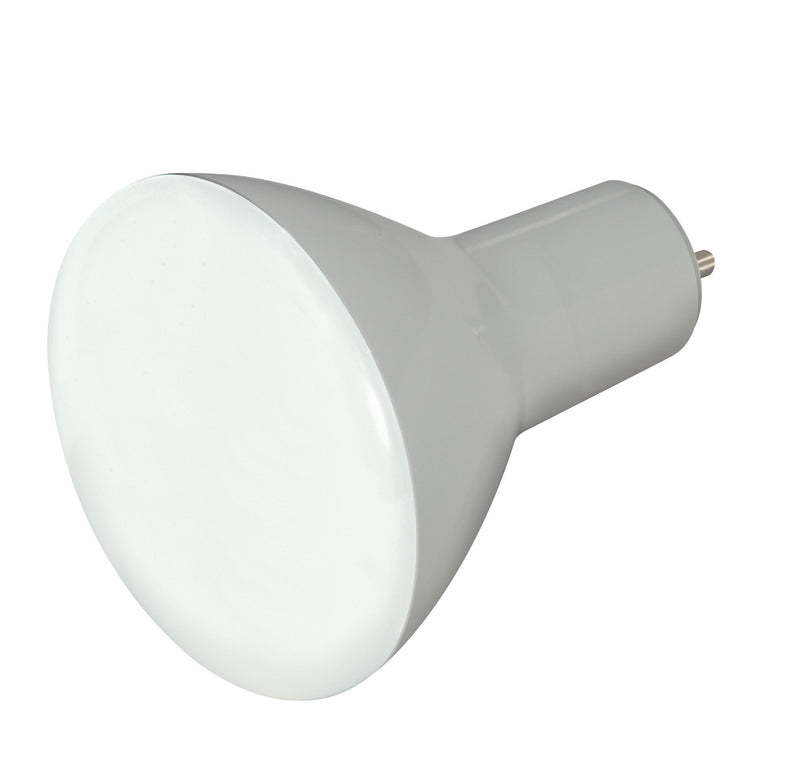 Satco S9624 Light Bulb, Frost Main Image.jpg