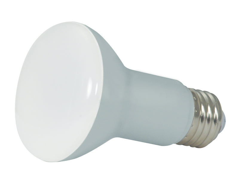 Satco S9632 Light Bulb, Frost Main Image.jpg