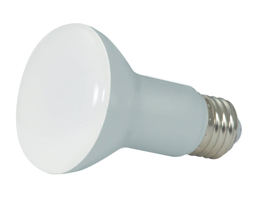 Satco S9633 Light Bulb, Frost Main Image.jpg