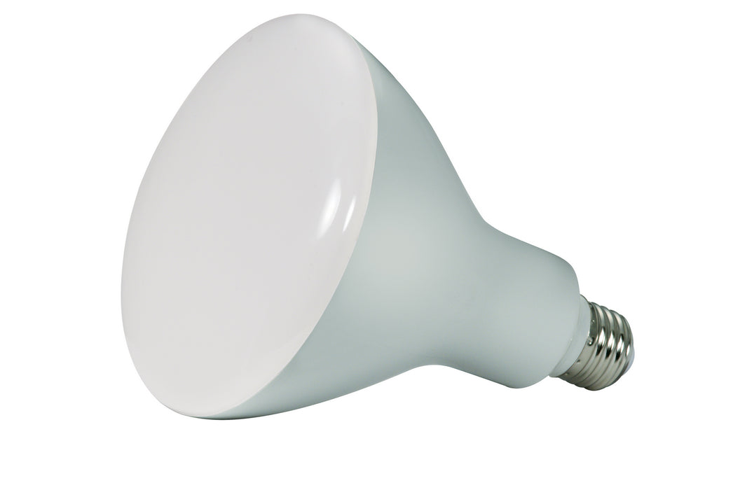 Satco S9634 Light Bulb, Frost Main Image.jpg