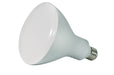 Satco S9634 Light Bulb, Frost Main Image.jpg